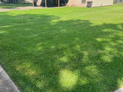 Lawn care service in Jacksonville, 72076