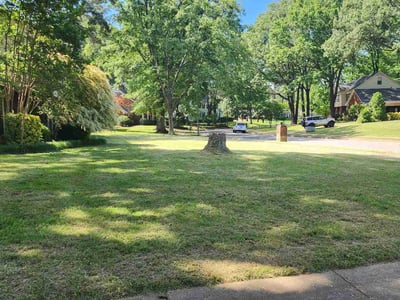 Lawn care service in Memphis, 38119