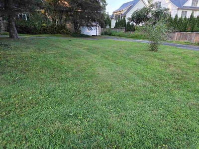 Lawn care service in Rockville, 20852