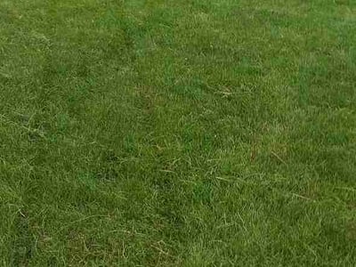 Lawn care service in Lincoln, 68506