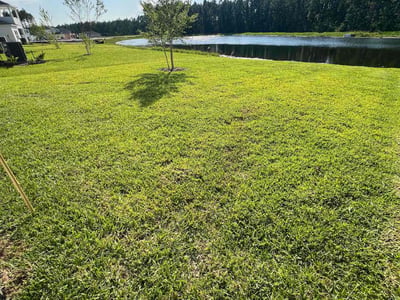 Lawn care service in St. Augustine, 32092