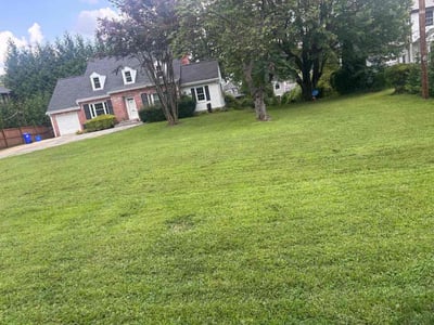 Lawn care service in Bethesda, 20814