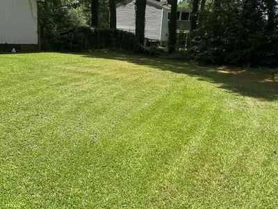 Lawn care service in Winterville, 28590