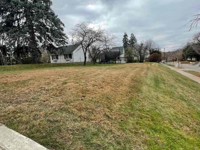 Lawn care service in Minneapolis, 55419