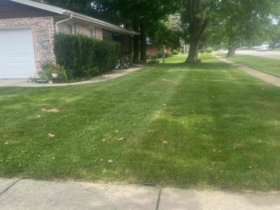 Lawn care service in Elgin, 60123