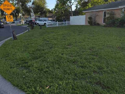 Lawn care service in Tampa, 33615
