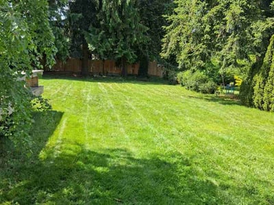 Lawn care service in Edmonds, 98020