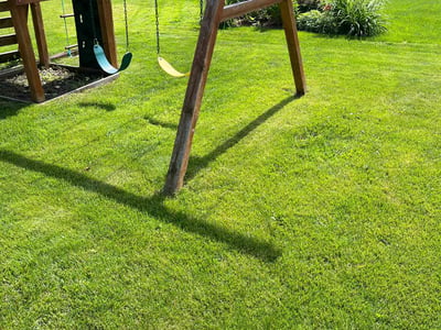 Lawn care service in Blaine, 55449