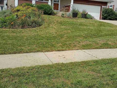 Lawn care service in Madison, 53719