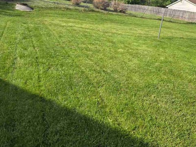 Lawn care service in Hurricane, 25526
