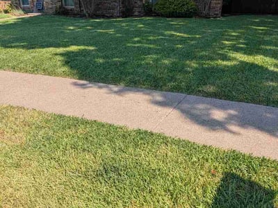 Lawn care service in Carrollton, 75010