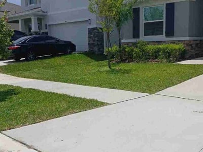 Lawn care service in Wesley Chapel, 33545