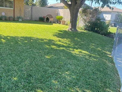 Lawn care service in Visalia, 93277