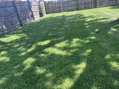 Lawn care service in West Allis, 53227