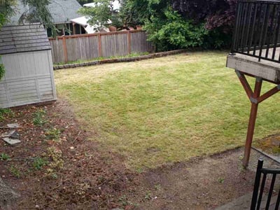 Lawn care service in Bellevue, 98007