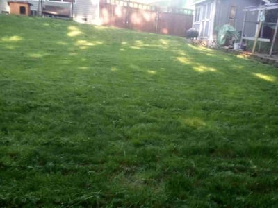 Lawn care service in Auburn, 98092