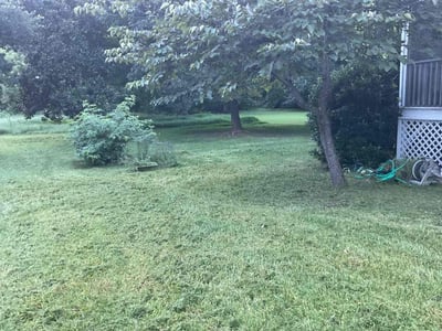 Lawn care service in Charlotte, 28205