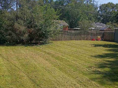 Lawn care service in Louisville, 40272