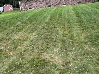 Lawn care service in Brookfield, 53005