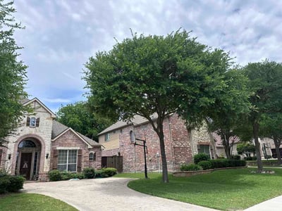 Lawn care service in Richardson, 75082
