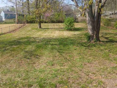 Lawn care service in Independence, 64055