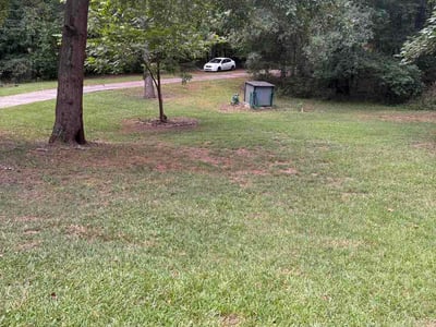 Lawn care service in Newnan, 30263