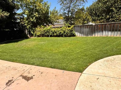 Lawn care service in Fresno, 93720