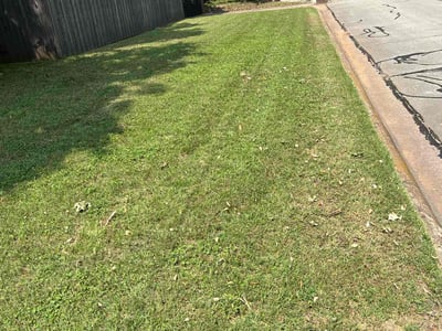 Lawn care service in Arlington, 76013