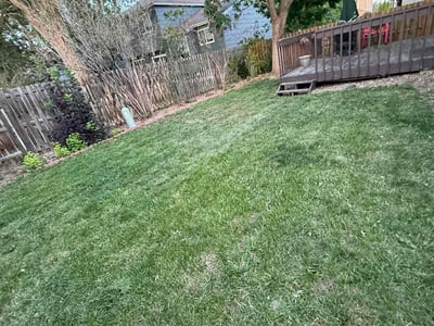 Lawn care service in Littleton, 80127