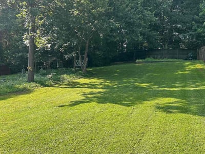 Lawn care service in Dacula, 30019