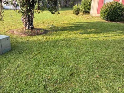 Lawn care service in Kingsland, 31548