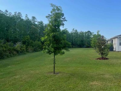 Lawn care service in St. Cloud, 34769