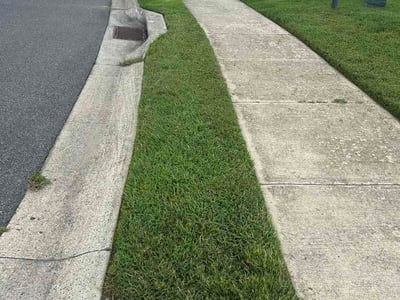 Lawn care service in Felton, 19943