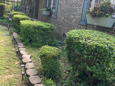 Lawn care service in Columbia, 29209