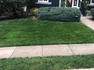 Lawn care service in Cincinnati, 45208