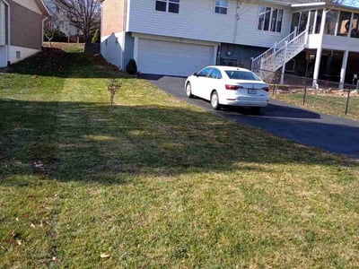 Lawn care service in , 