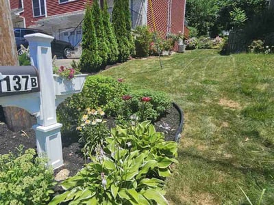 Lawn care service in Worcester, 01604