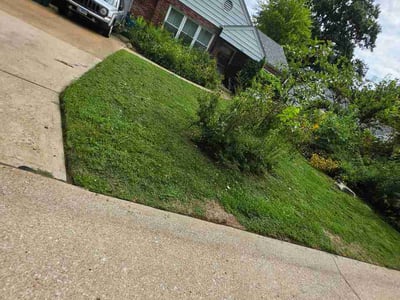 Lawn care service in Webster Groves, 63119