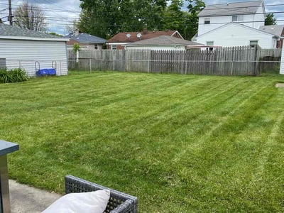 Lawn care service in Roseville, 48066