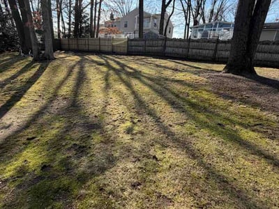 Lawn care service in Cherry Hill Township, 08003