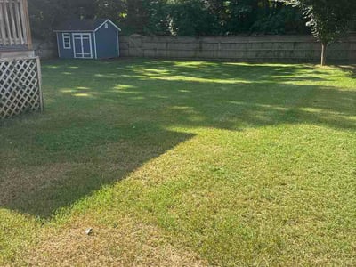 Lawn care service in Richmond, 23225
