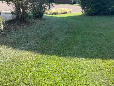 Lawn care service in Brandon, 39047
