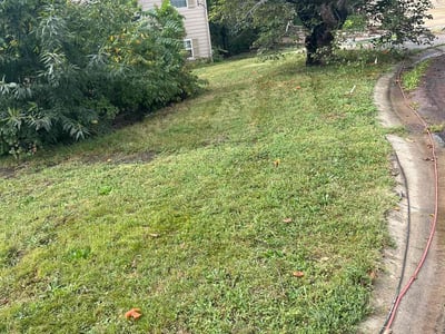 Lawn care service in Overland Park, 66223