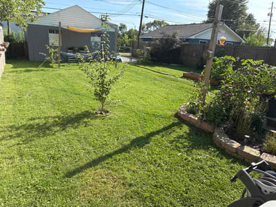 Lawn care service in Indianapolis, 46203
