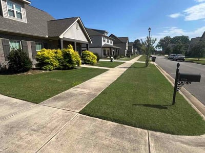 Lawn care service in Athens, 35611