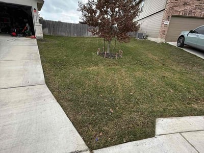Lawn care service in San Antonio, 78254