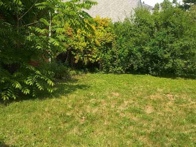 Lawn care service in , 