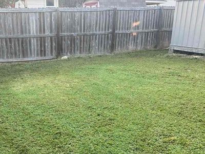 Lawn care service in Del Valle, 78617