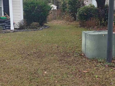 Lawn care service in Columbia, 29209