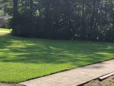 Lawn care service in Franklin, 23851